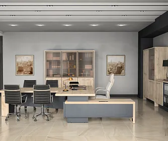 Кабинет руководителя ТОРСТОН