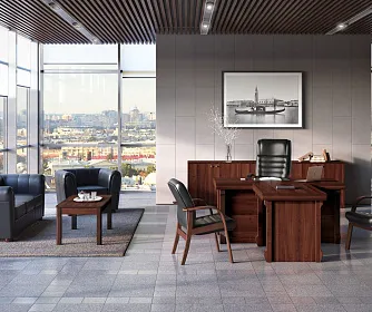 Кабинет руководителя BERN