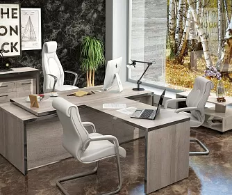 Кабинет руководителя TORR