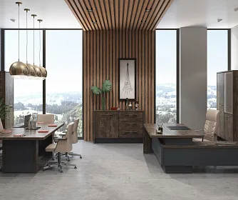 Кабинет руководителя ТОРСТОН