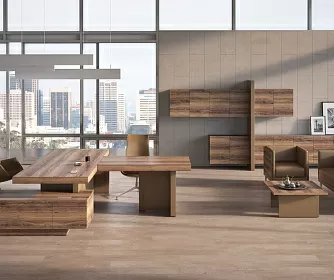 Кабинет руководителя ERA