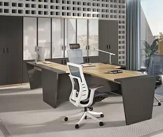 Кабинет руководителя TOWER