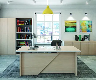 Кабинет руководителя ZOOM