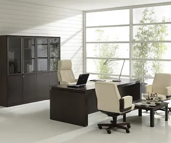 Кабинет руководителя EUR