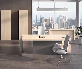 Кабинет руководителя ERA