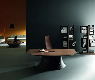 Кабинет руководителя OLA