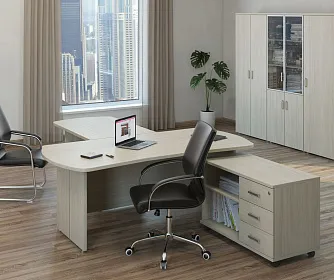 Кабинет руководителя BONN