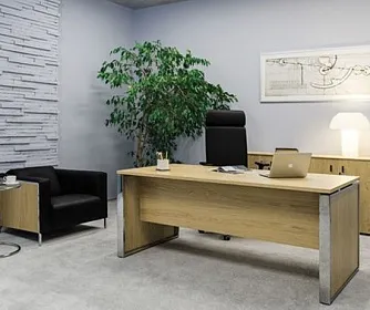 Офисный диван VISPO Wood