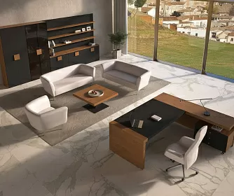 Кабинет руководителя KYU DM