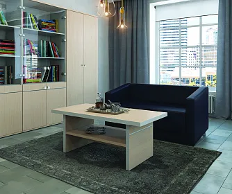 Кабинет руководителя ZOOM