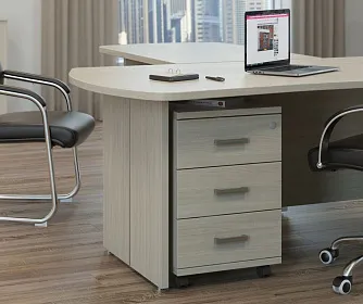 Кабинет руководителя BONN