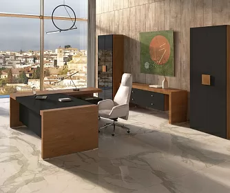 Кабинет руководителя KYU DM