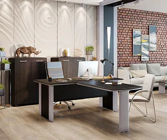 Кабинет руководителя DIONI