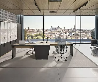 Кабинет руководителя TOWER