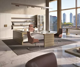 Кабинет руководителя KYU DM