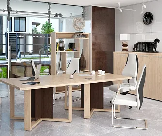 Кабинет руководителя ALTO