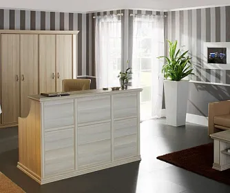 Кабинет руководителя PORTO