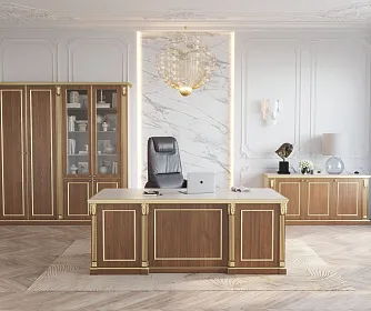 Кабинет руководителя VIENNA