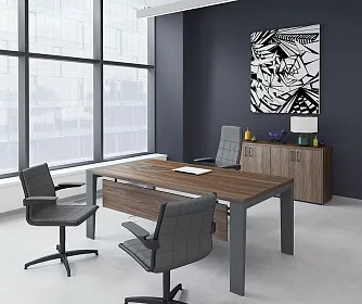 Кабинет руководителя Mahia Executive