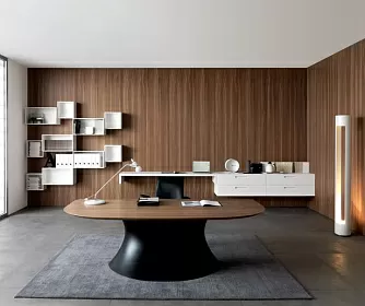 Кабинет руководителя OLA