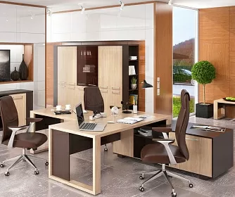 Кабинет руководителя ALTO