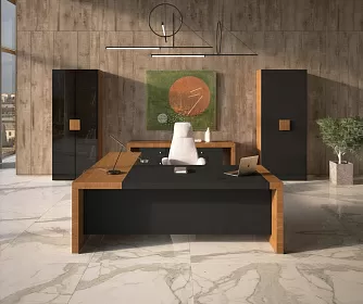 Кабинет руководителя KYU DM