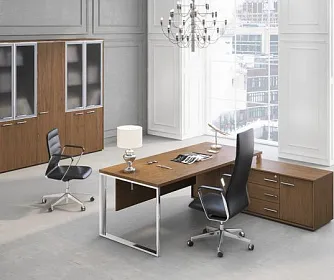 Кабинет руководителя Orion