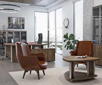 Кабинет руководителя VASANTA