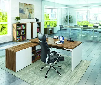 Кабинет руководителя ZION