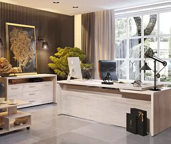 Кабинет руководителя TORR Z