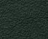 CONSUL Green CONSUL Green